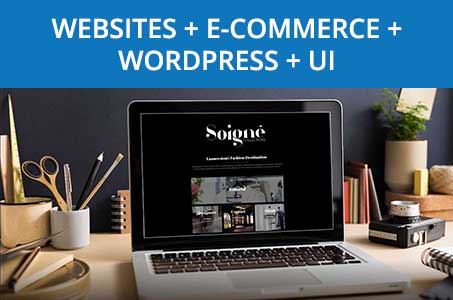 Website + E-Commerce + WordPress + UI Website + E-Commerce + Wordpress + UI